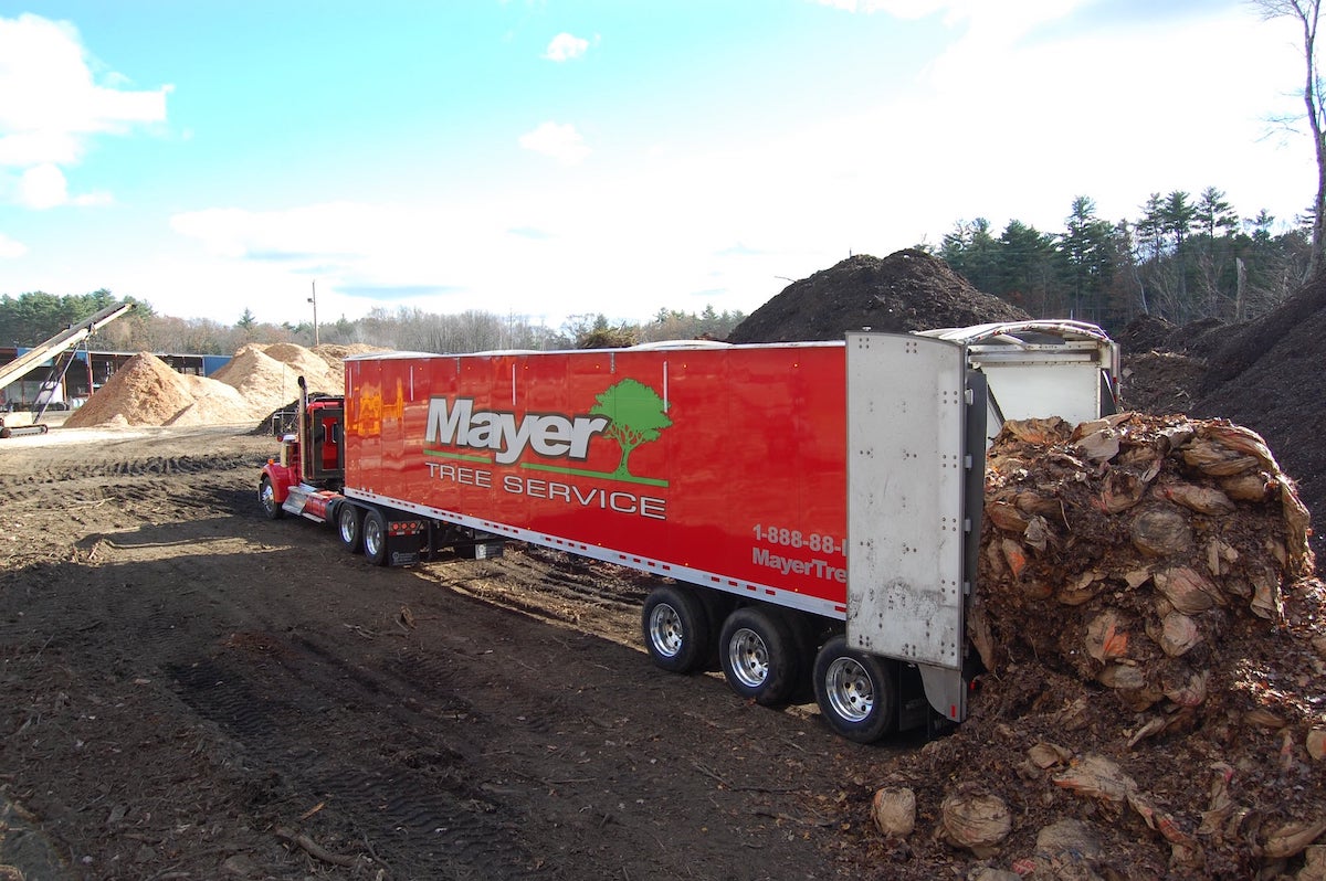 PROBARK - Brick Ends Farm - MAYER